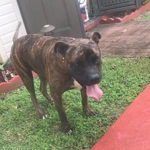 Meet your Posher, Daniel alberto